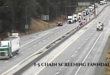 I-5 Chain Screening Fawndale