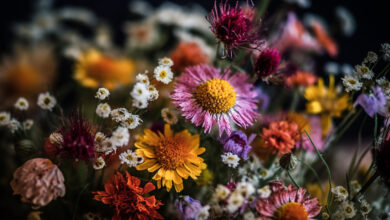 Wildflower