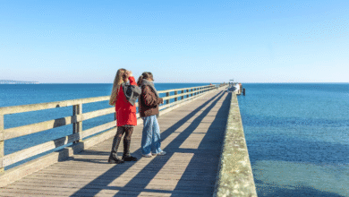 Best Time to Visit Madeira