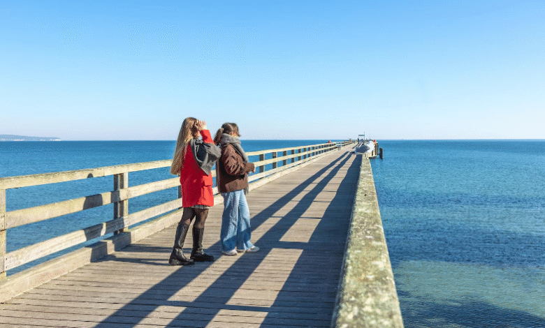 Best Time to Visit Madeira