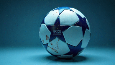 Premier League Soccer Ball