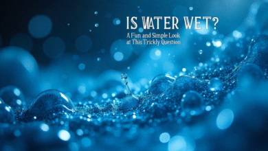 Is Water Wet