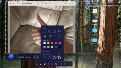 Screen Recorder Online