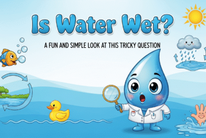 is-water-wet