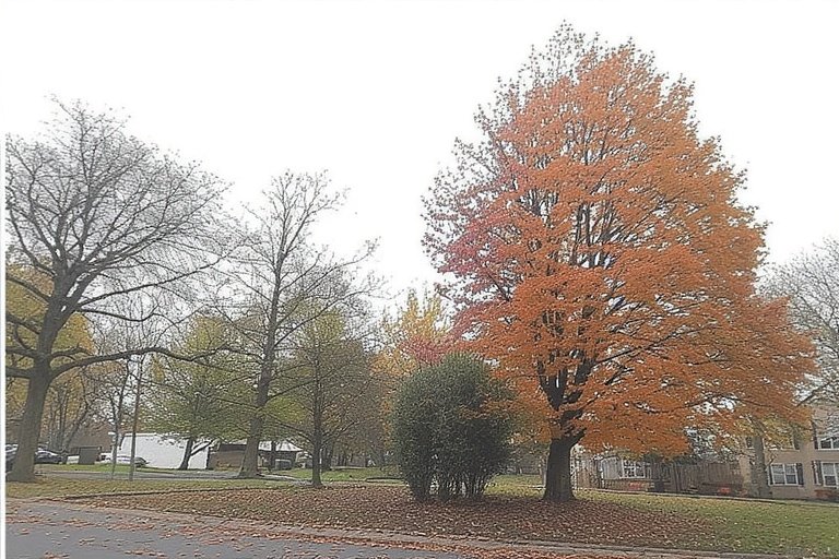 another-word-for-help